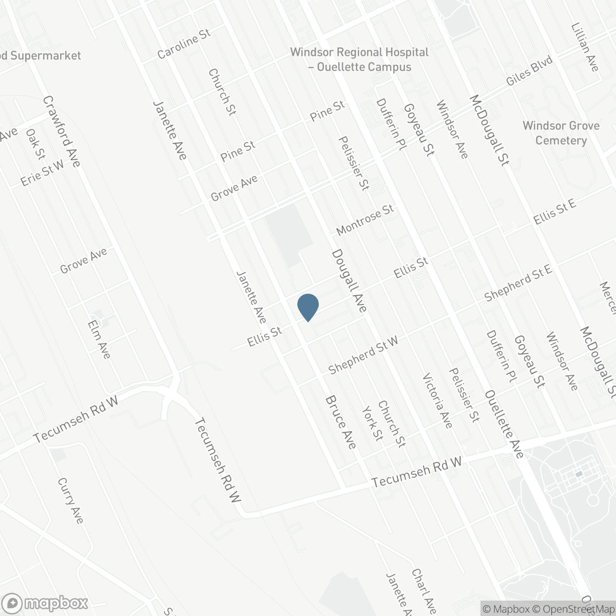 448 ELLIS West, Windsor, Ontario N8X 1B2